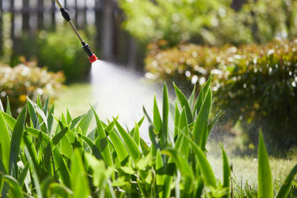 24/7 Emergency Mosquito Control experts in Ardmore, TN